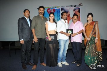 Maine Pyar Kiya Movie Audio Success Meet